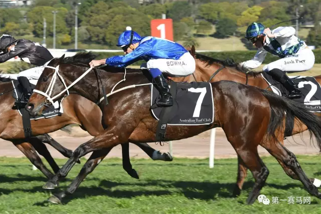 马耳他女子足球比赛中连胜成神话的简单介绍 马耳他女子足球比赛中连胜成神话的简单介绍