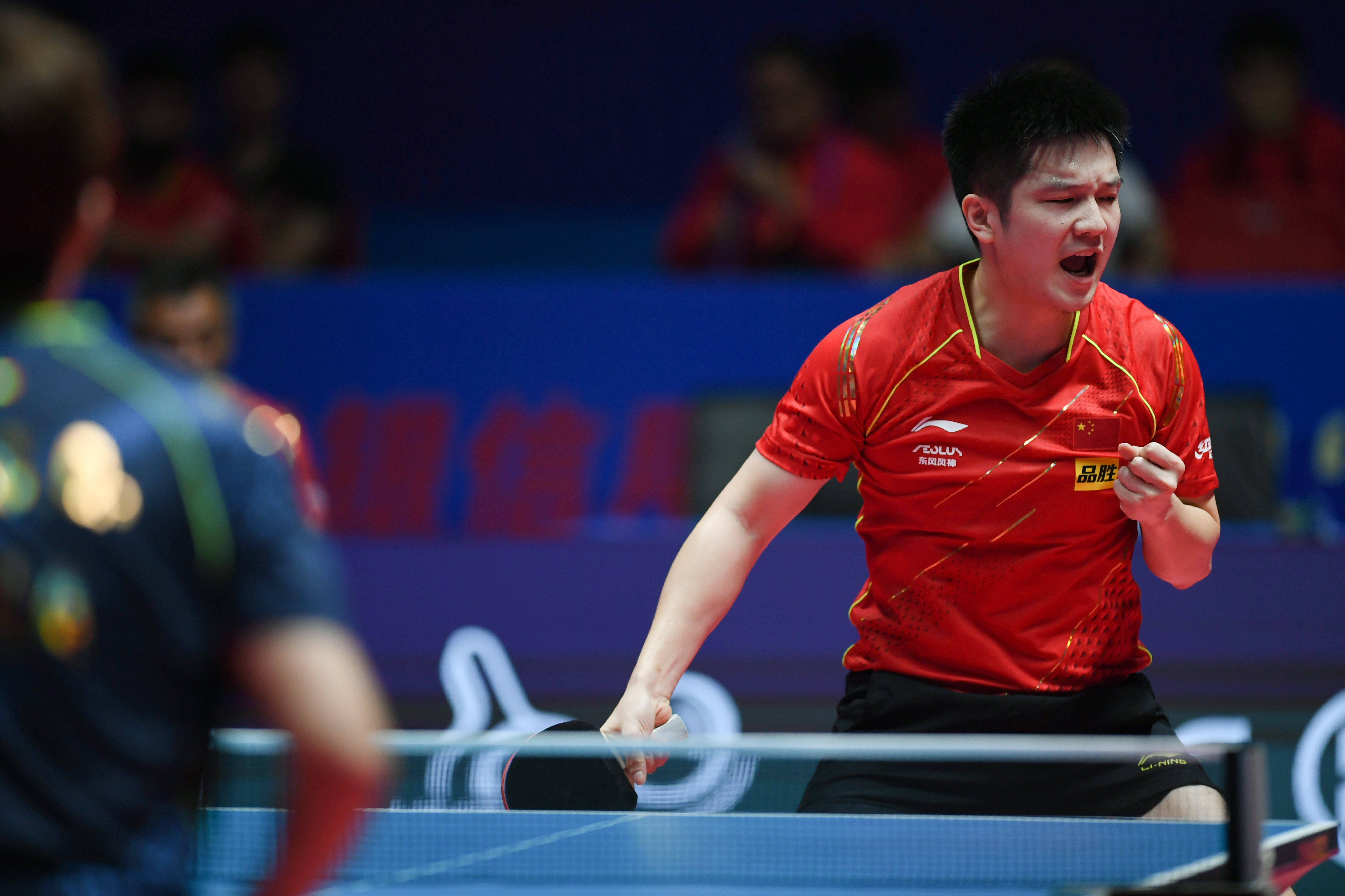 波兰乒乓球队险胜德国乒乓球队,樊振东关键制胜的简单介绍 波兰乒乓球队险胜德国乒乓球队,樊振东关键制胜的简单介绍