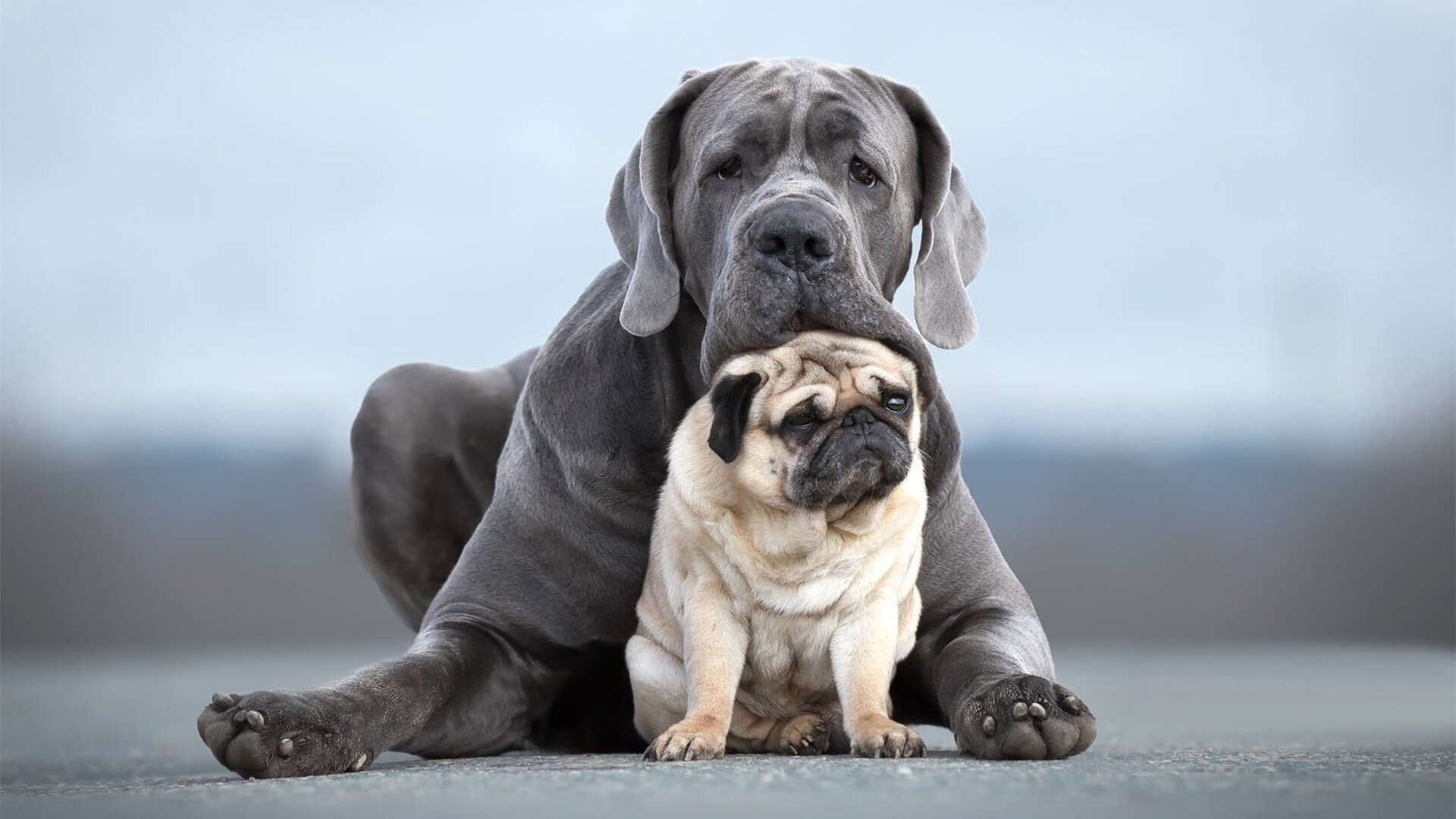浓眉以一己之力改写战局，老鹰展翅高飞碾碎爵士防线