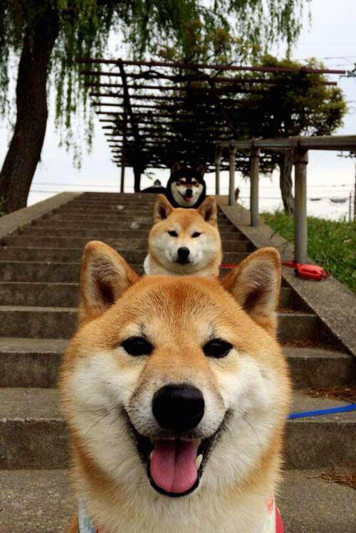 冷静致命,穆勒的东决时刻