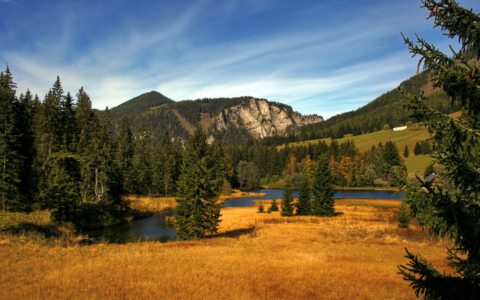 美加墨世界杯之夜,富安健洋闪电破门,让北美寒夜早早失去悬念