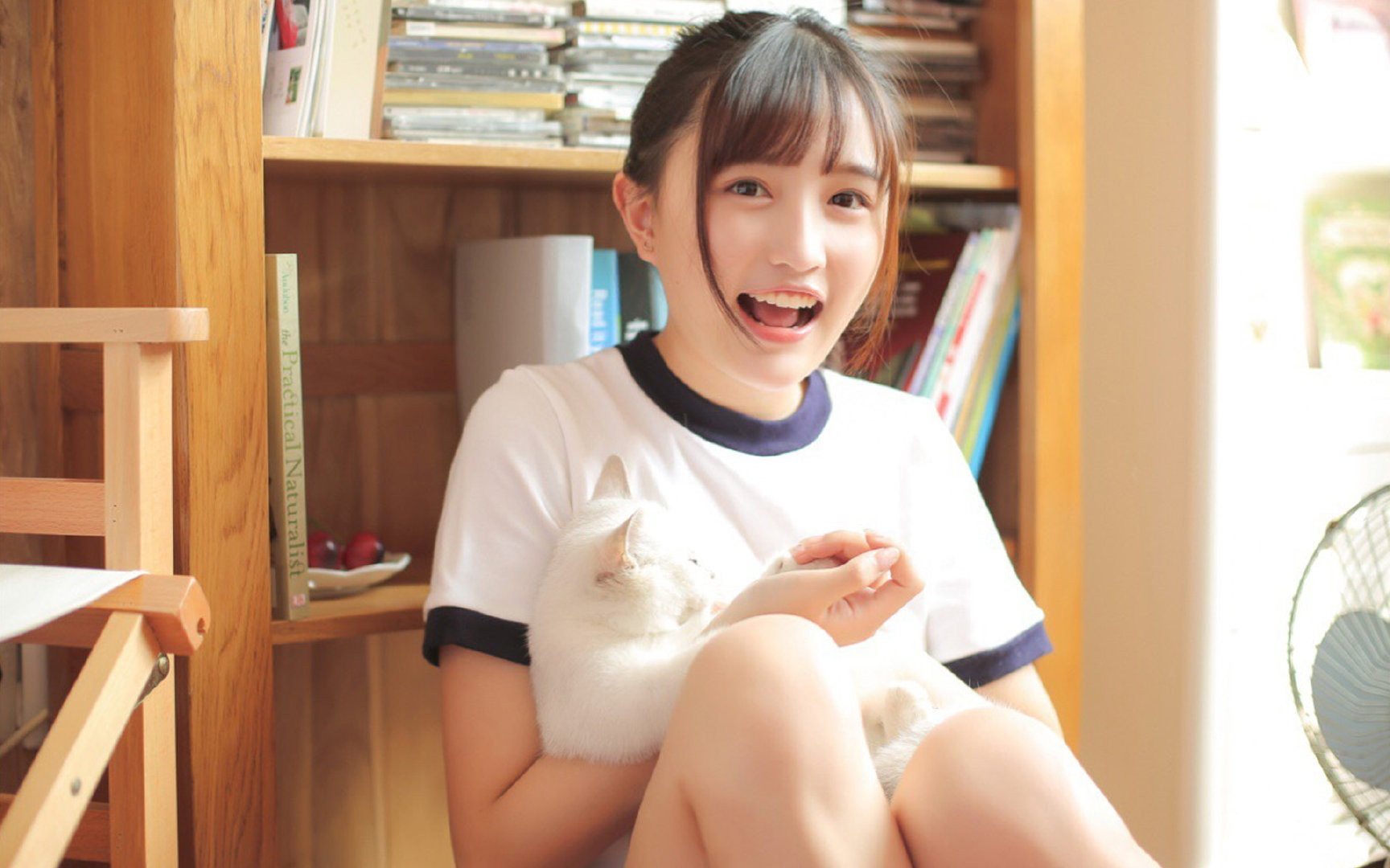 速度与荣耀，F1年度争冠焦点战与英格兰横扫埃及的体育史诗