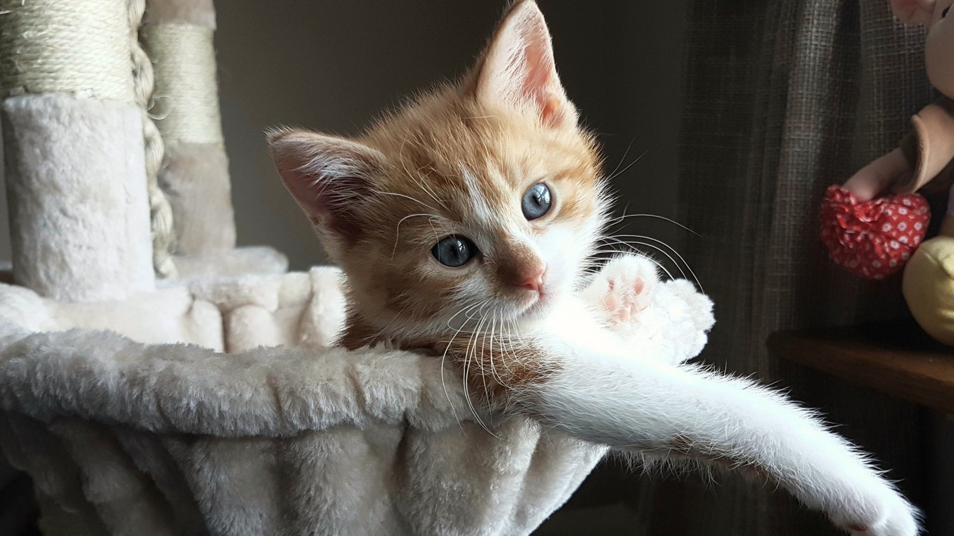 韩国战术压制突尼斯,京多安式节奏掌控诠释现代足球胜利法则