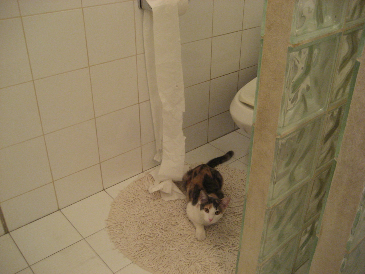 福克斯末节17分逆转乾坤,恩比德缺席他扛起费城旗帜