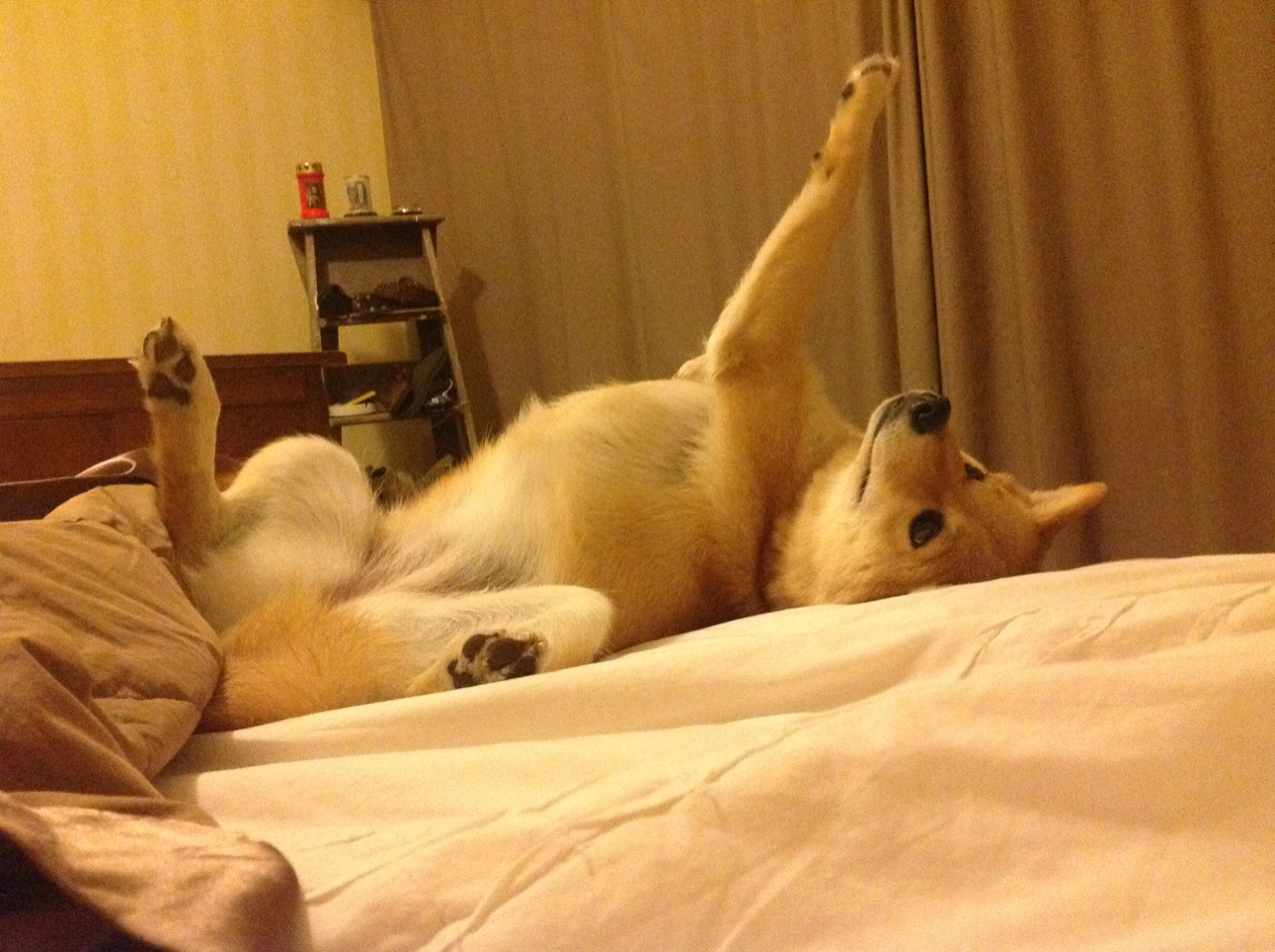 街道即王座，阿坎吉的夜战交响曲