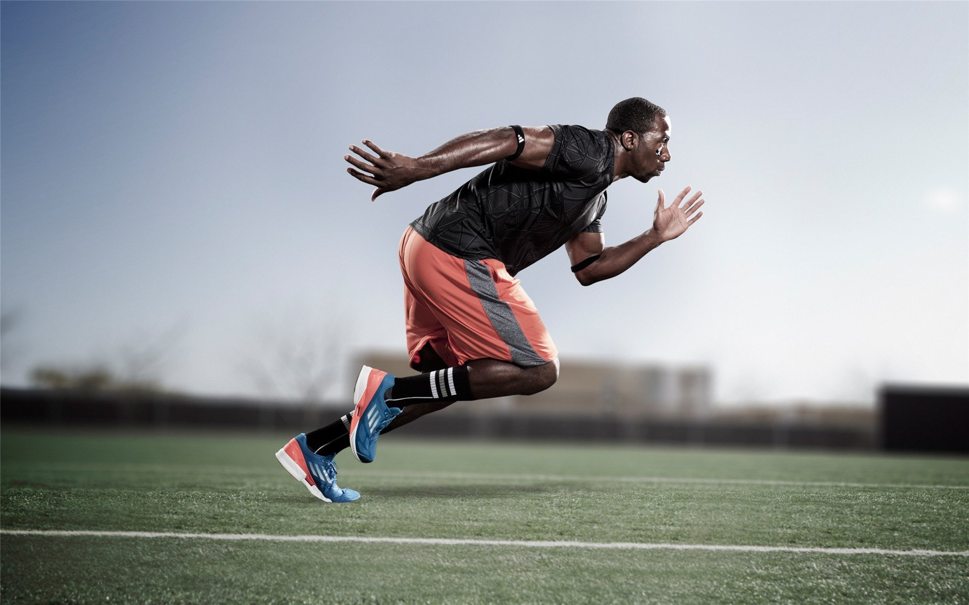 钢铁洪流碾过南方霸主,辽宁队火力全开,福克斯化身关键先生