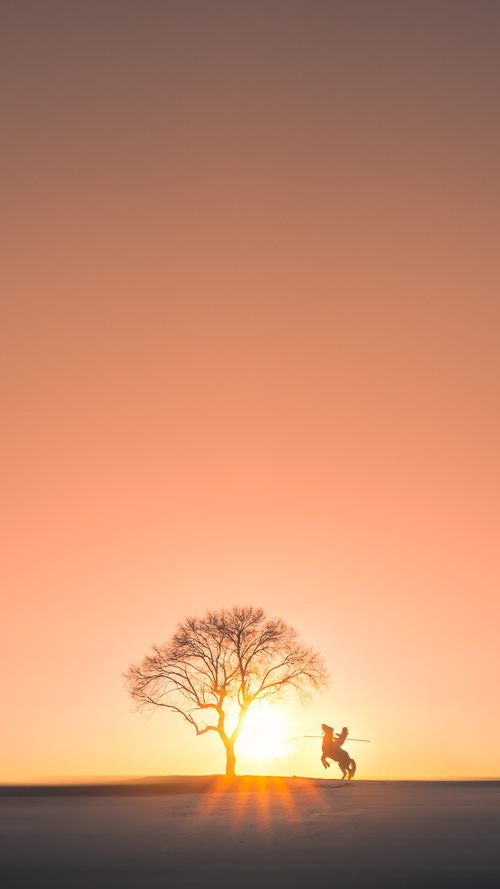 国际米兰压倒性统治，帕尔默成致命一击