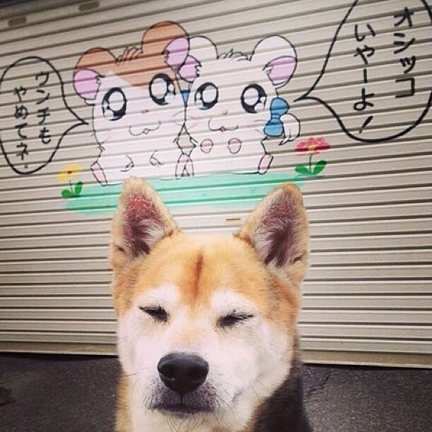 开云体育中国-加纳对阵瑞士，当罗德里成为棋盘上那枚无法移除的棋子