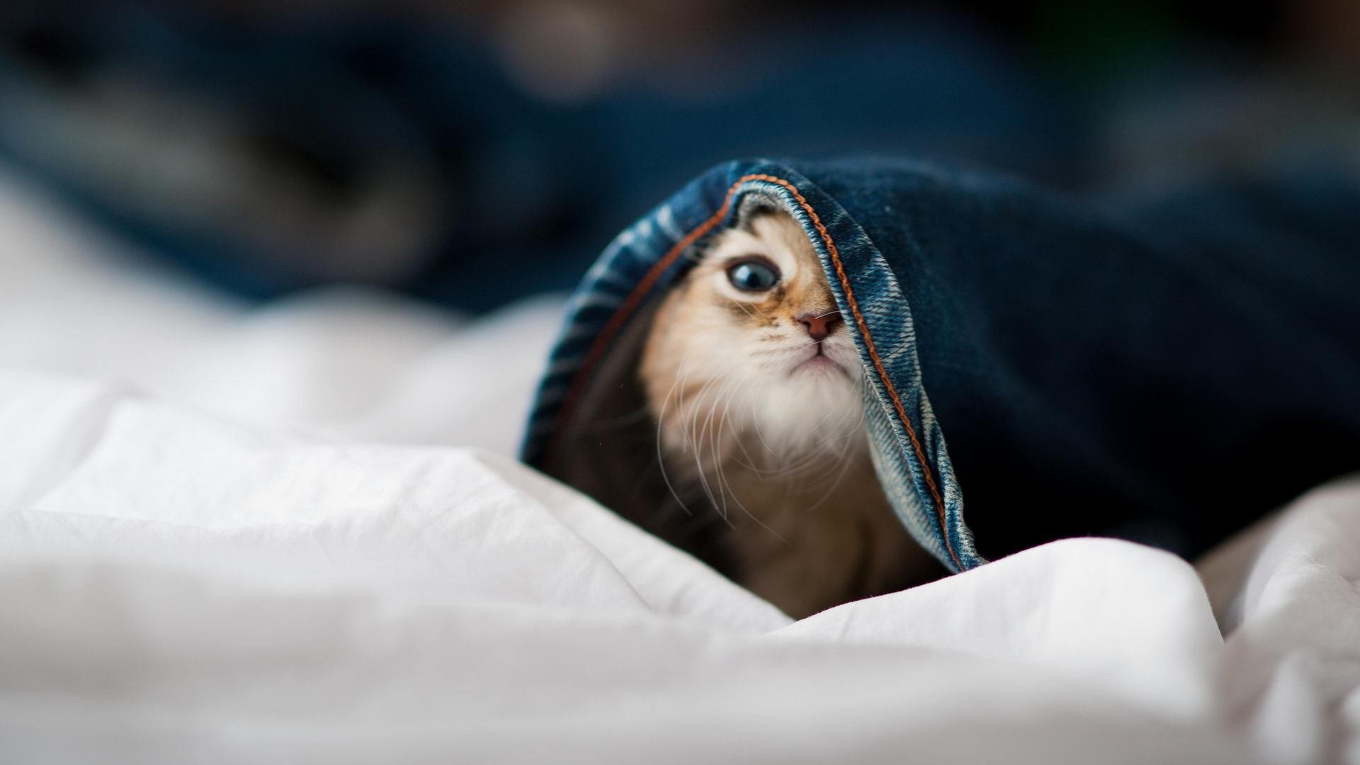 萨拉赫的魔力无人能挡,马赛正面风暴击溃玻利维亚防线