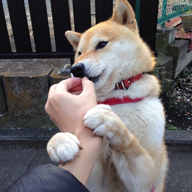 开云体育平台APP-NBA季后赛焦点战，一场堪比利物浦逆转的美国篮球奇迹