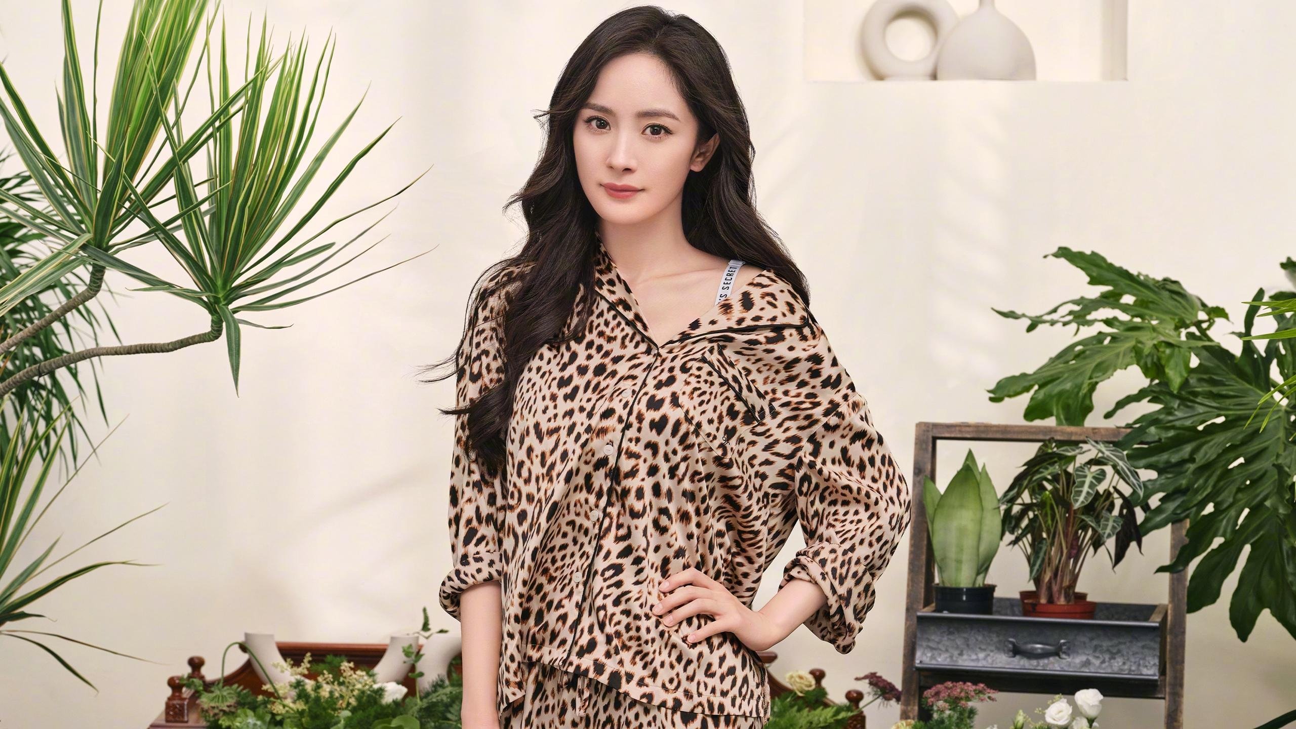 开云APP-深圳队收割公牛，霍勒迪成为关键先生