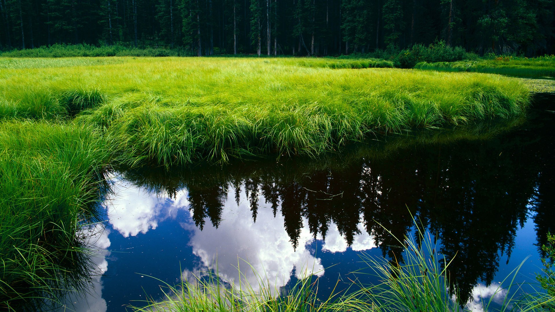 深圳队收割公牛，霍勒迪成为关键先生